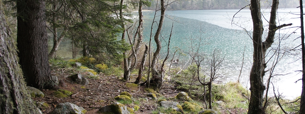 slideshow 2